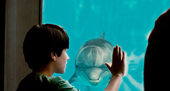 海豚的故事-看海豚