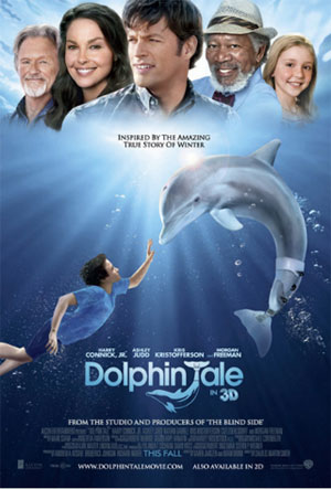 海豚的故事-海報